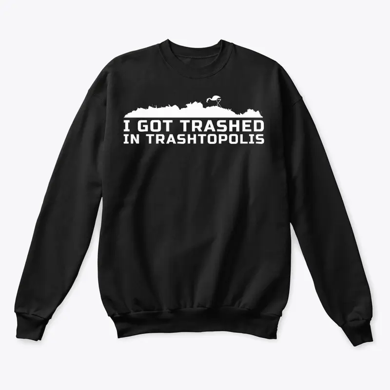 I Got Trashed In Trashtopolis